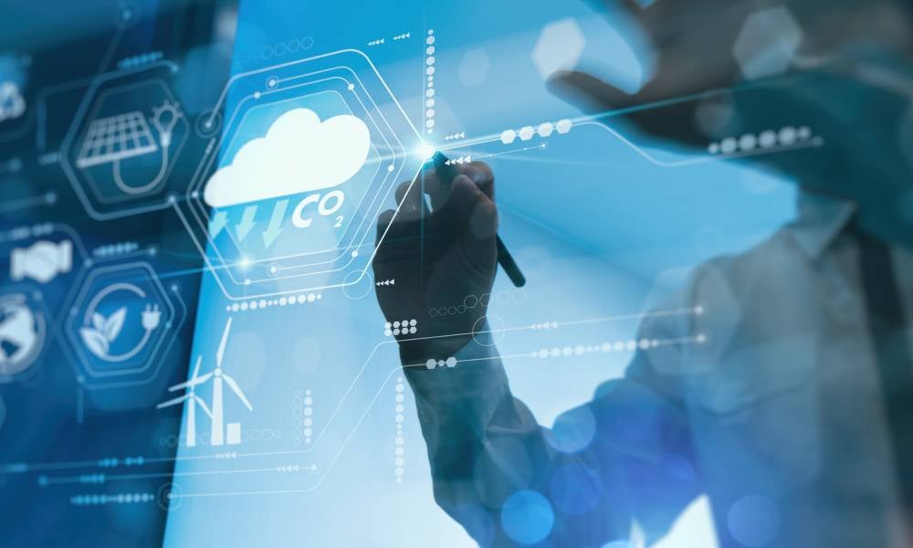 Carbon credits are hard to calculate.jpeg