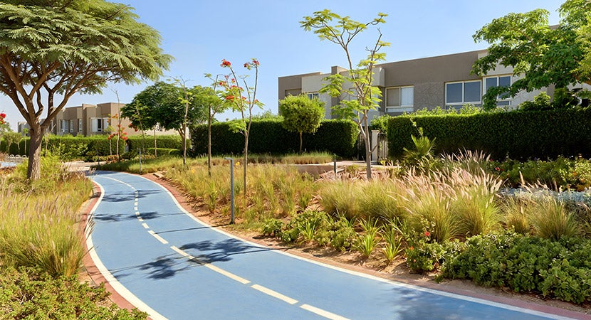Palm Hills