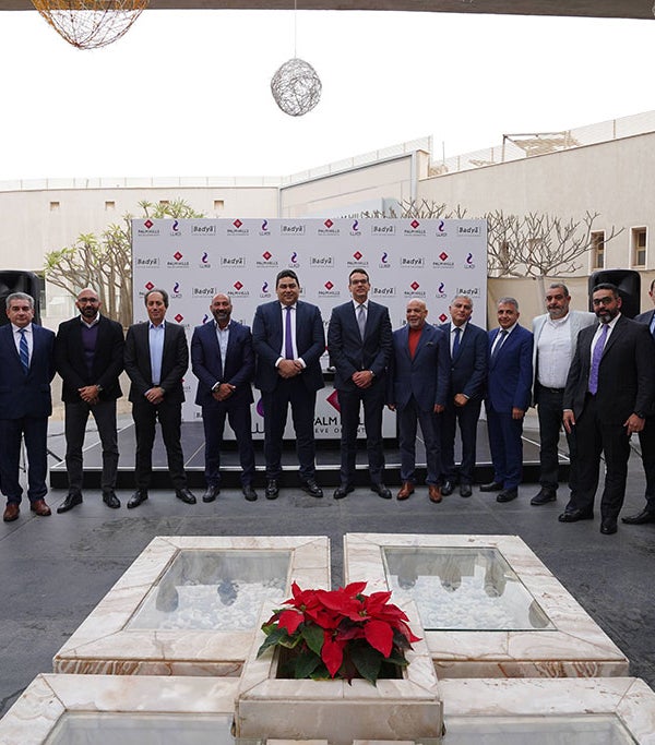 باديا، المصرية للاتصالات، خدمات الاتصالات المتكاملة