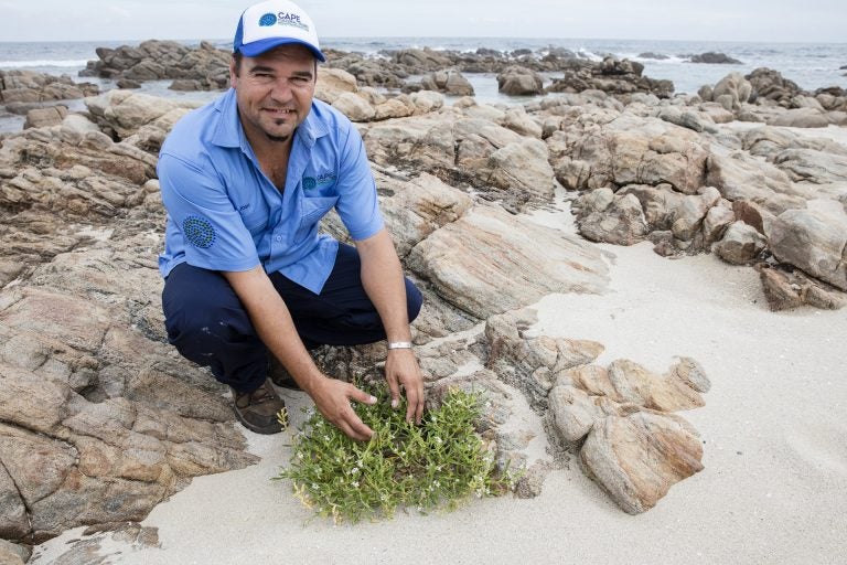 Cape Cultural Tours at Meelup Beach, Dunsborough