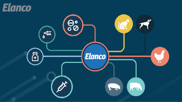 Elanco | Information Technology