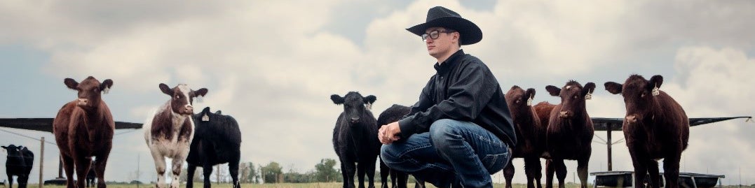 a producer kneeling down in front of cattle