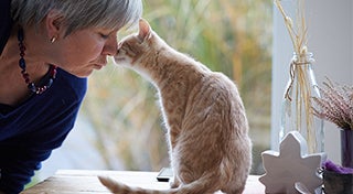 a person nose to nose with a cat