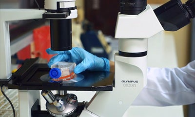 close up of a palette under a microscope in a lab
