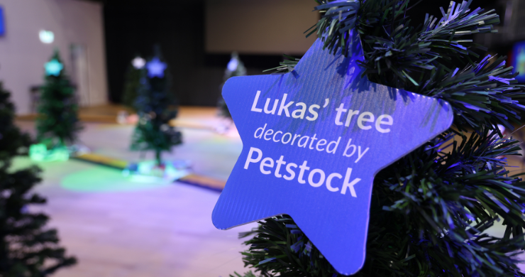 Petstock Make-A-Wish 2025 Tree 