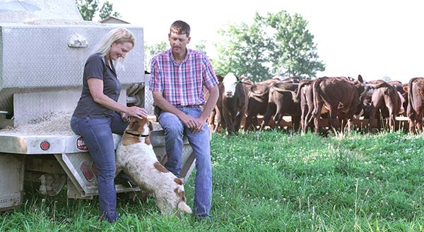 man and a woman in a field of cows with a dog jumping up at the woman and smiling