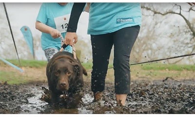 Muddy Dog with Owner