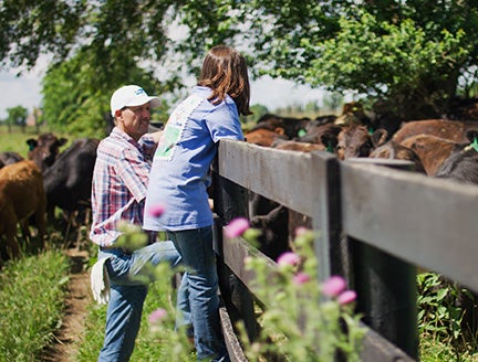 man and a little girl whos stood on a fence looking into a field of cows
