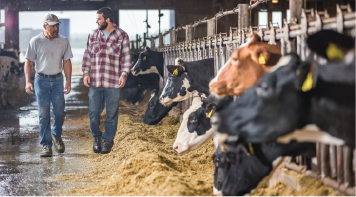 Zwei Männer, die sich unterhalten; im Hintergrund befindet sich eine Kuhweide