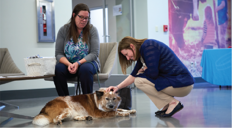 two people together one knelt down petting a dog