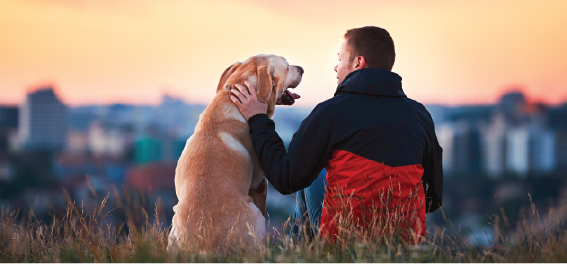 Man sitting on a hill watching sunrise with dog