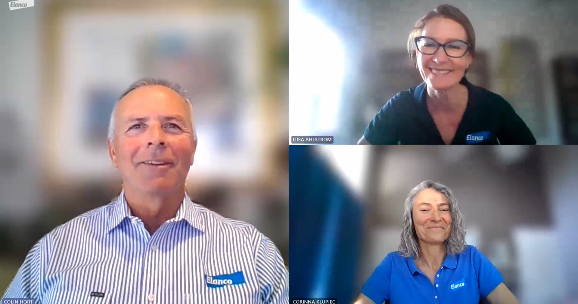 Vet staff at Elanco Animal Health