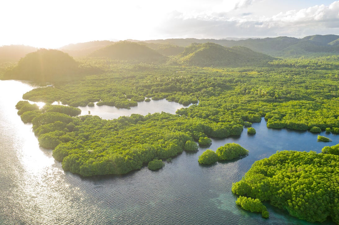 Brazil will host the finals of the XPRIZE Rainforest competition