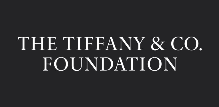 Tiffany and Co Foudnation