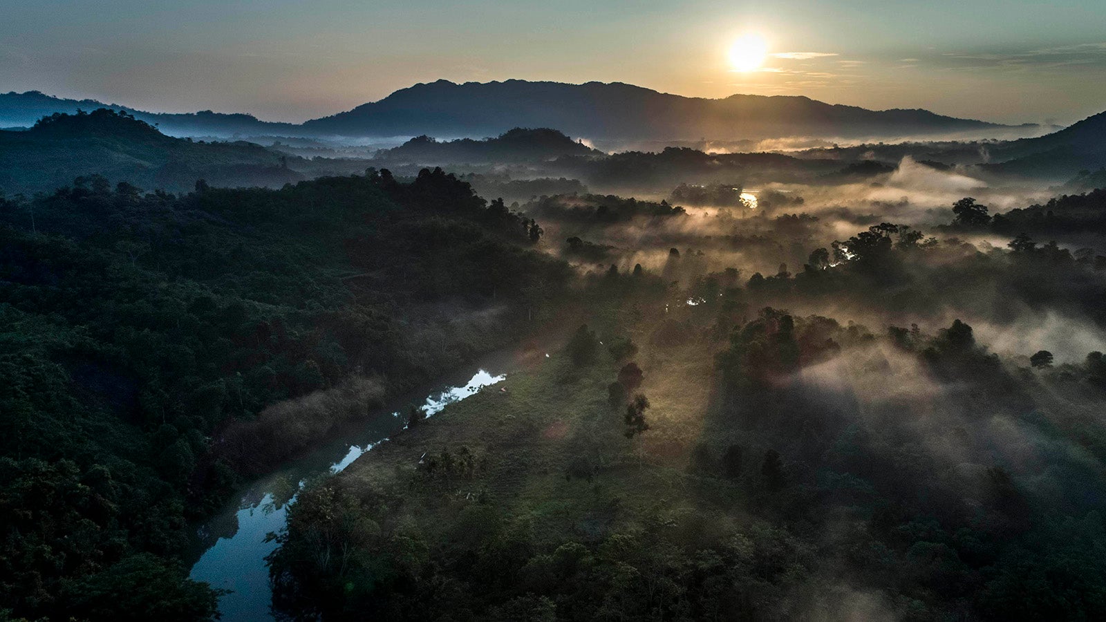 PROTECTING THE RAINFOREST IS ON ALL OF US