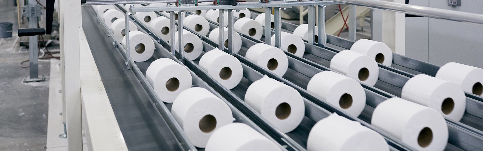 Toilet paper is getting less sustainable, researchers warn, Trees and  forests