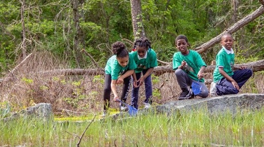 2019-12-national-park-trust-teacher-fellowhship