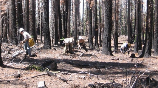 2019-11-quilted-northern-eco-comfort-530-2