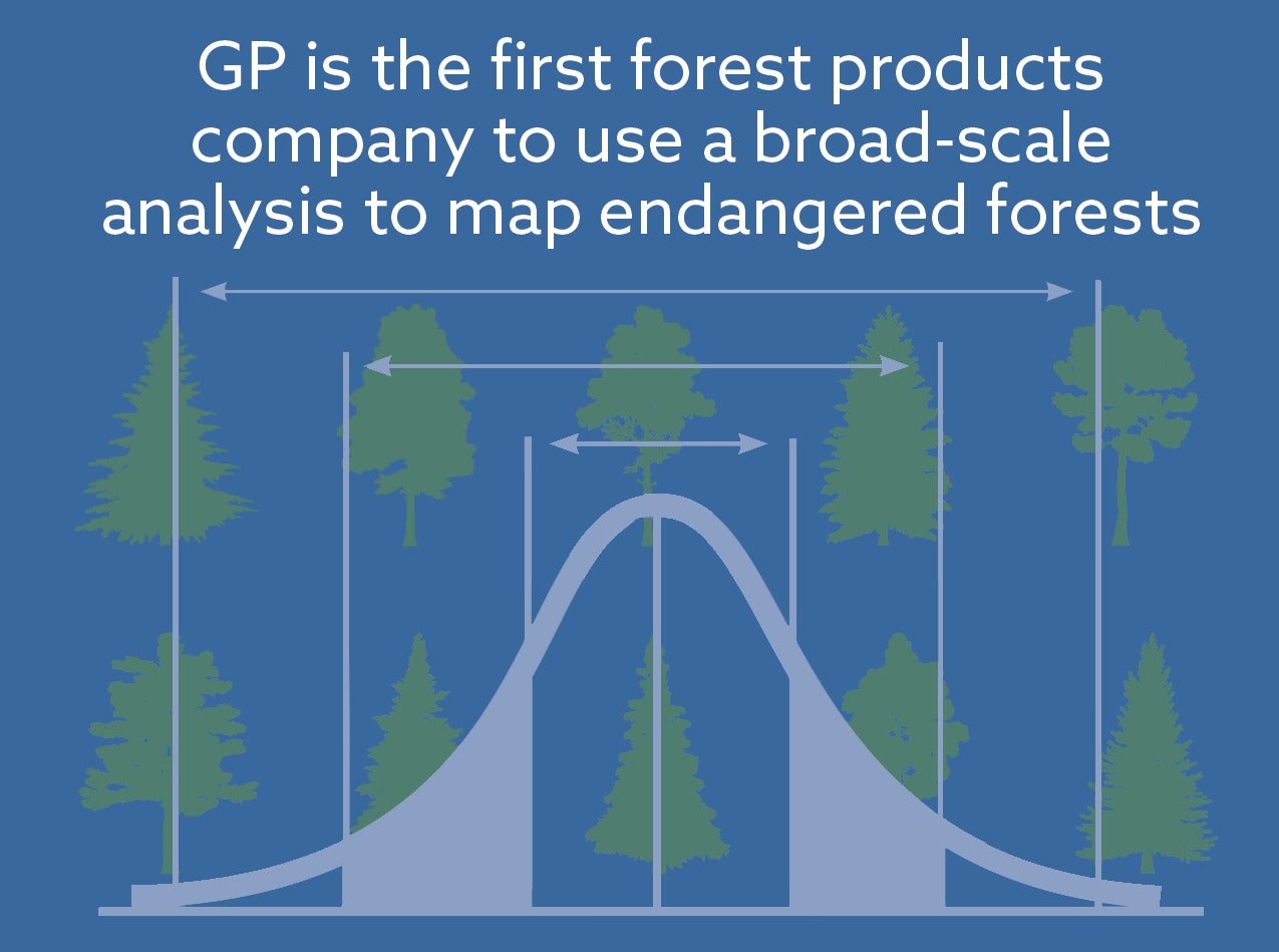 2020-08-EFMapAnalysis