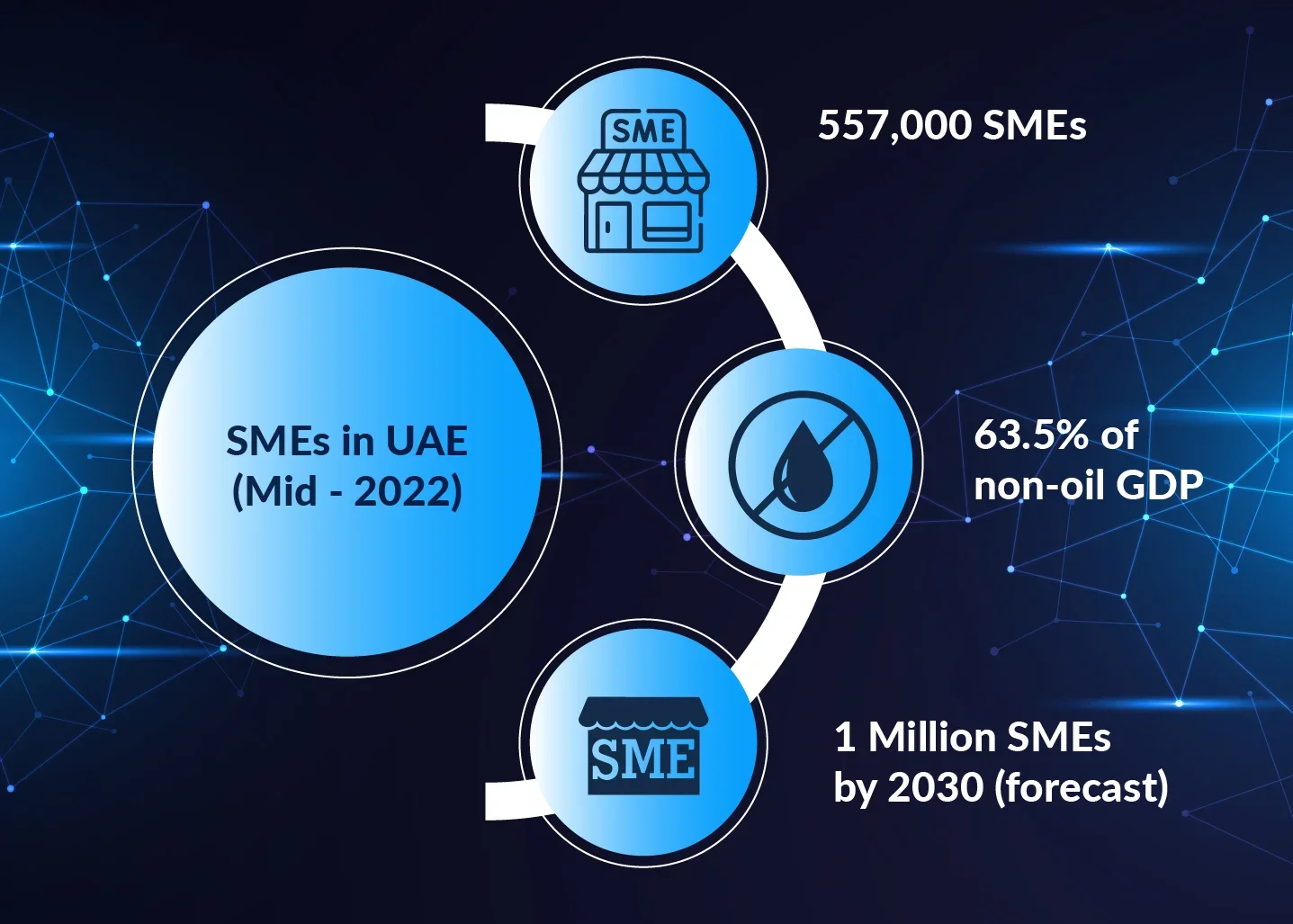 AIM Blogs | Unlocking Investment Potentials: The Allure of SMEs for Investors - Figure 3: UAE Government