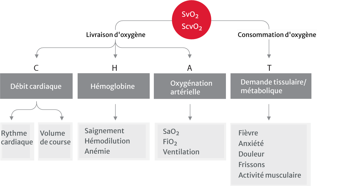Balance of oxygen delivery