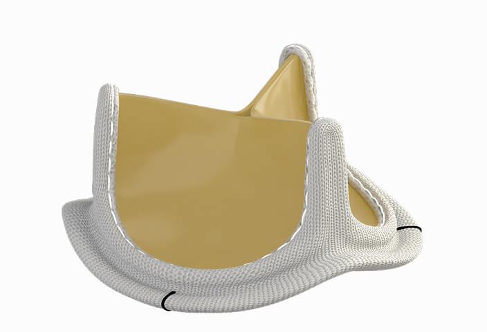 INSPIRIS RESILIA aortic valve