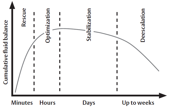 Four phases of hemodynamic treatment in relation to cumulative fluid balance6