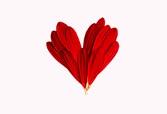 red heart 