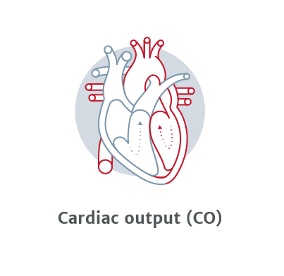 cardiac output