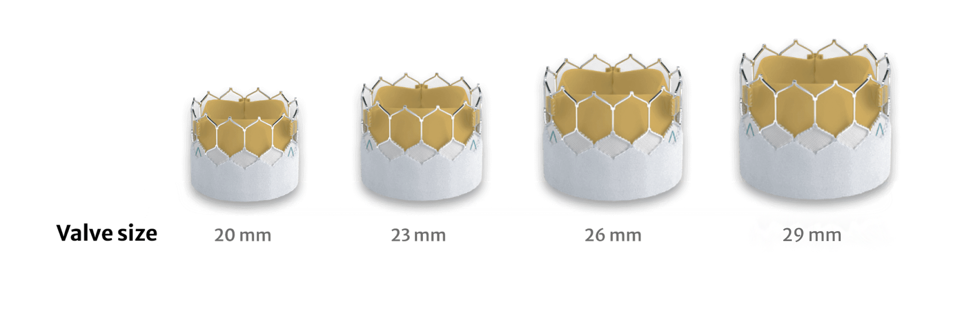 Transcatheter SAPIEN 3 Ultra RESILIA | Edwards Lifesciences