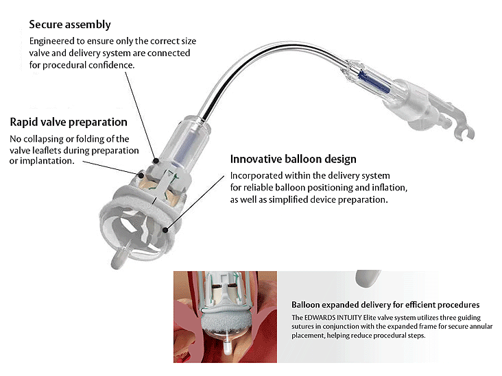 Edwards Intuity Elite valve system | Edwards Lifesciences