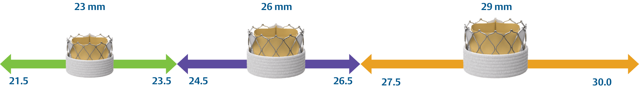SAPIEN X4S valve sizing