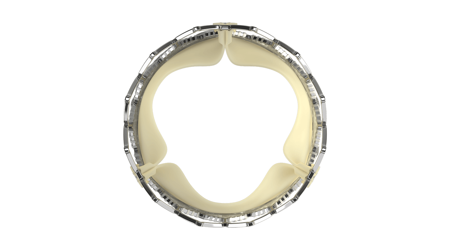 SAPIEN 3 valve – top view leaflets open