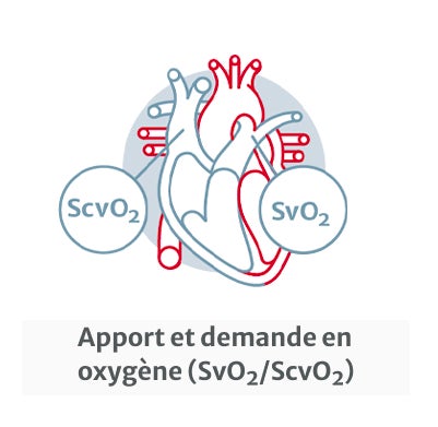 Oxygen supply & demand
