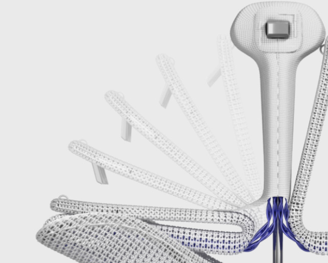 The PASCAL Precision system | Edwards Lifesciences