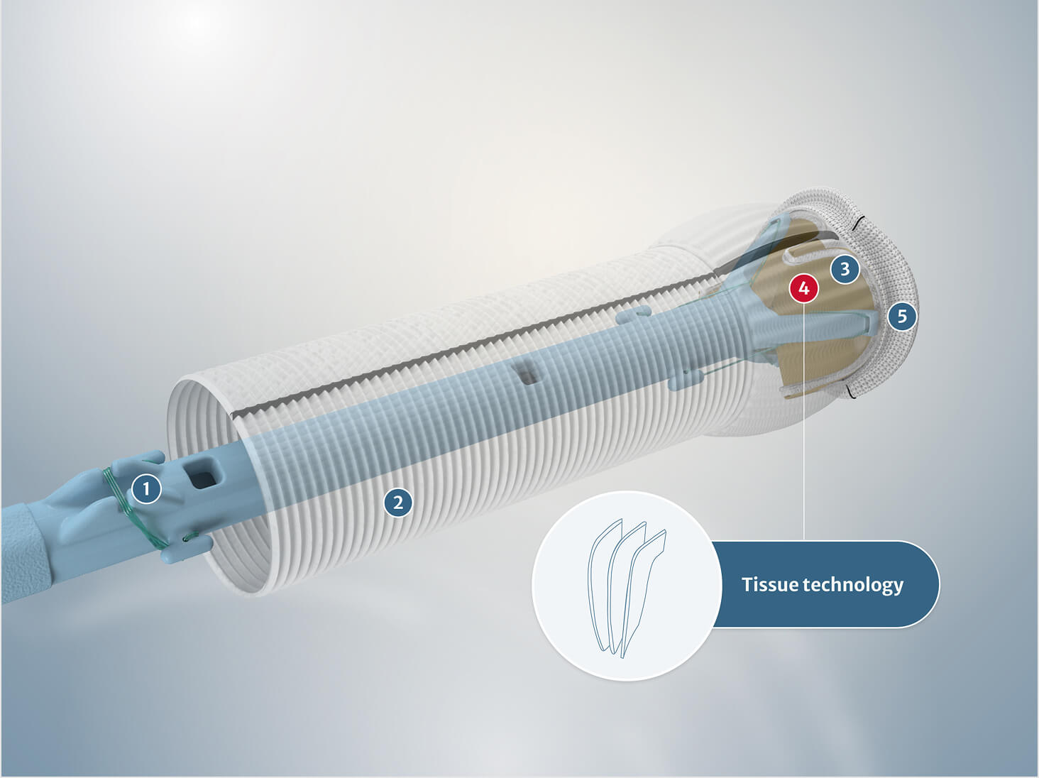 Tissue technology