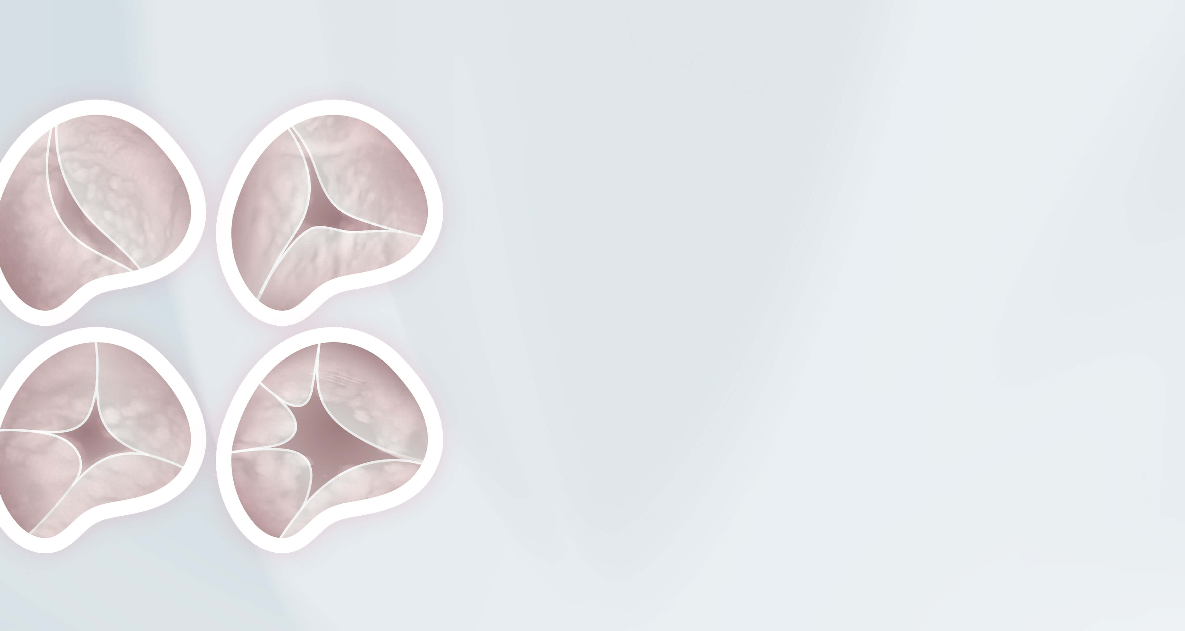 Greater anatomic variability