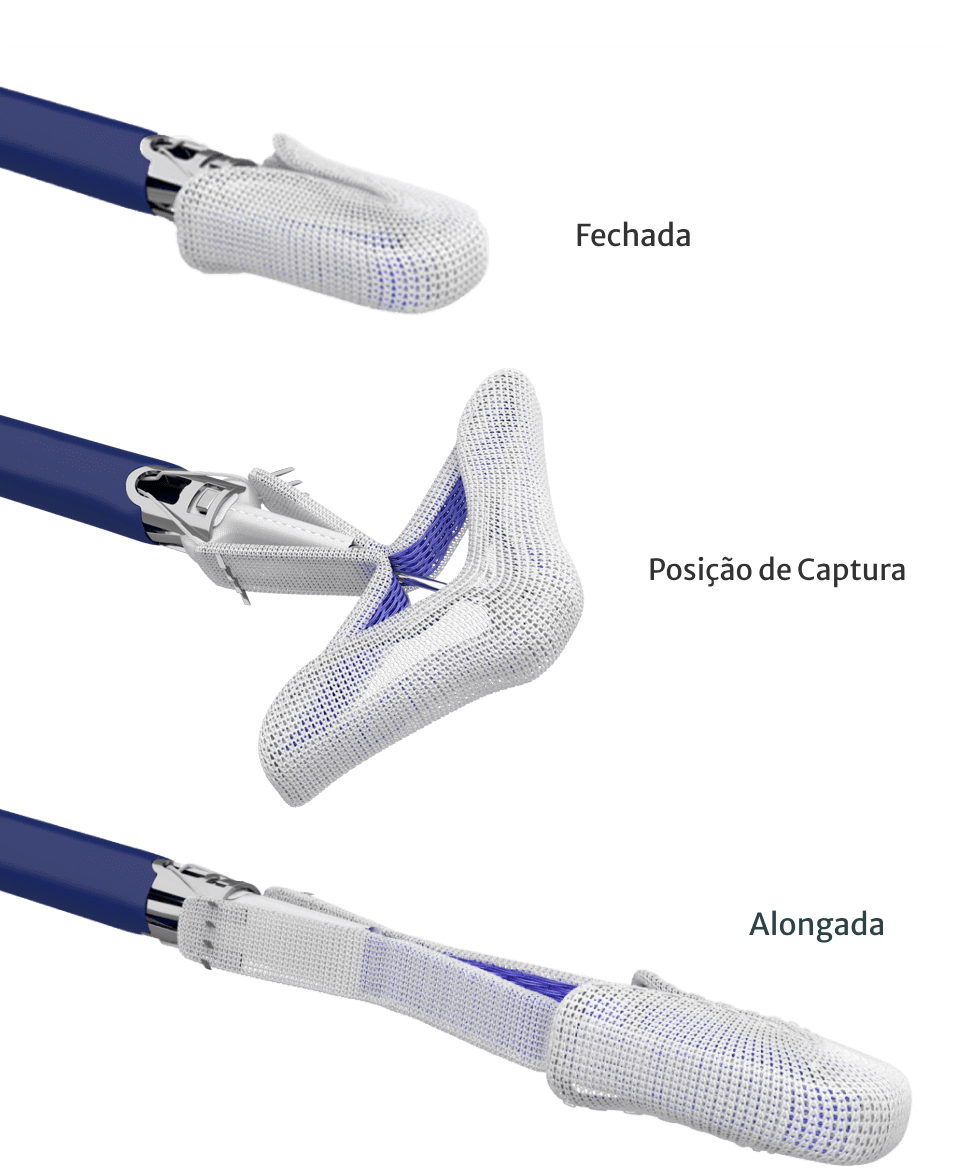 Pascal Edardws Sistema PASCAL Precision | Edwards Lifesciences