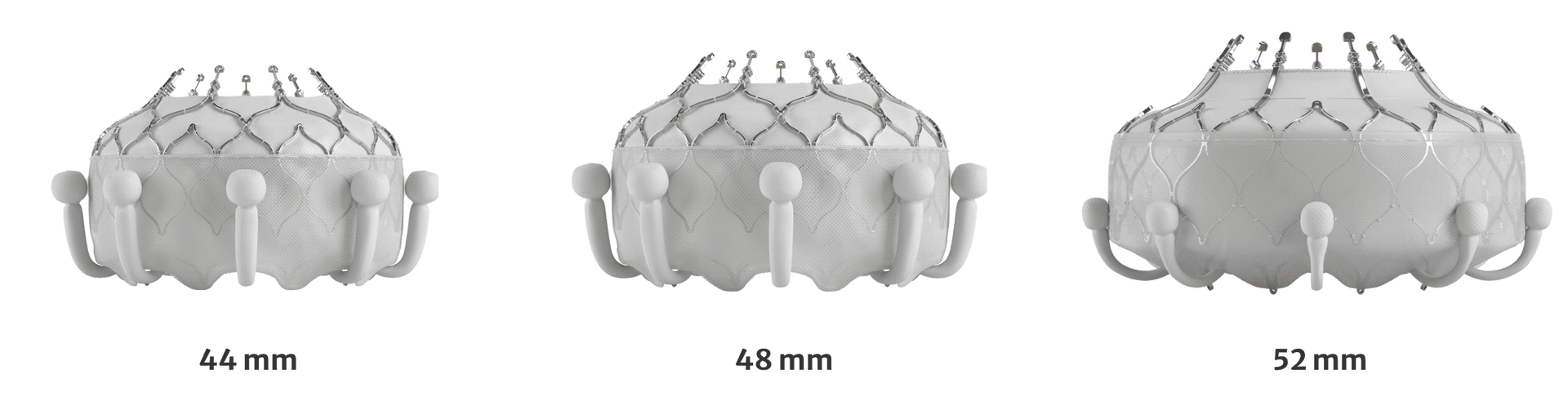 Evoque Tricuspid Valve Replacement Edwards Lifesciences 