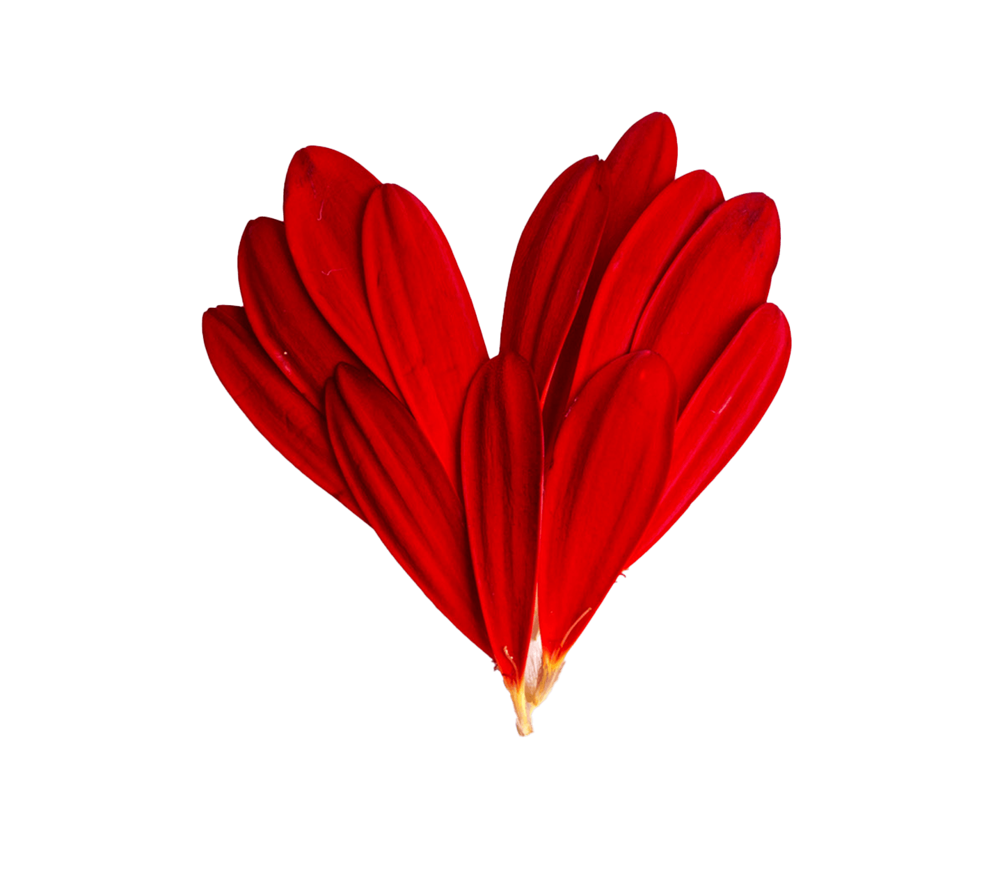 edwards-lifesciences-the-leader-in-heart-valves-hemodynamic