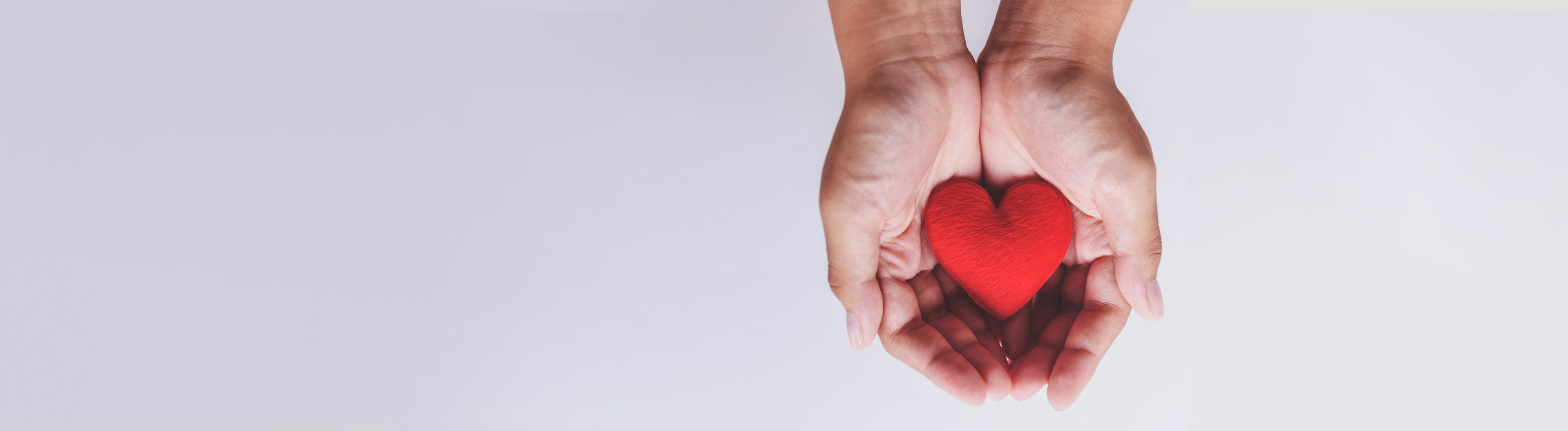 matching gift banner image