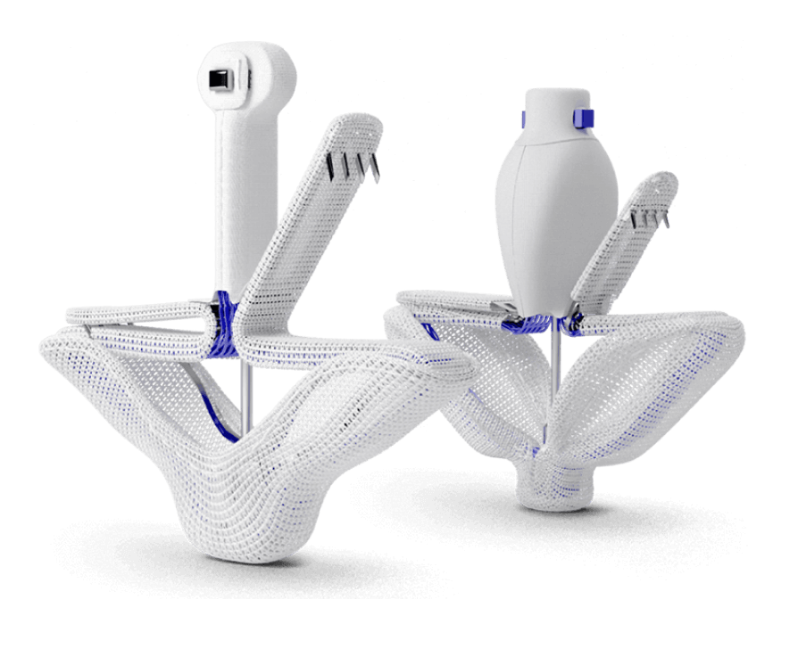 The PASCAL Precision implant system