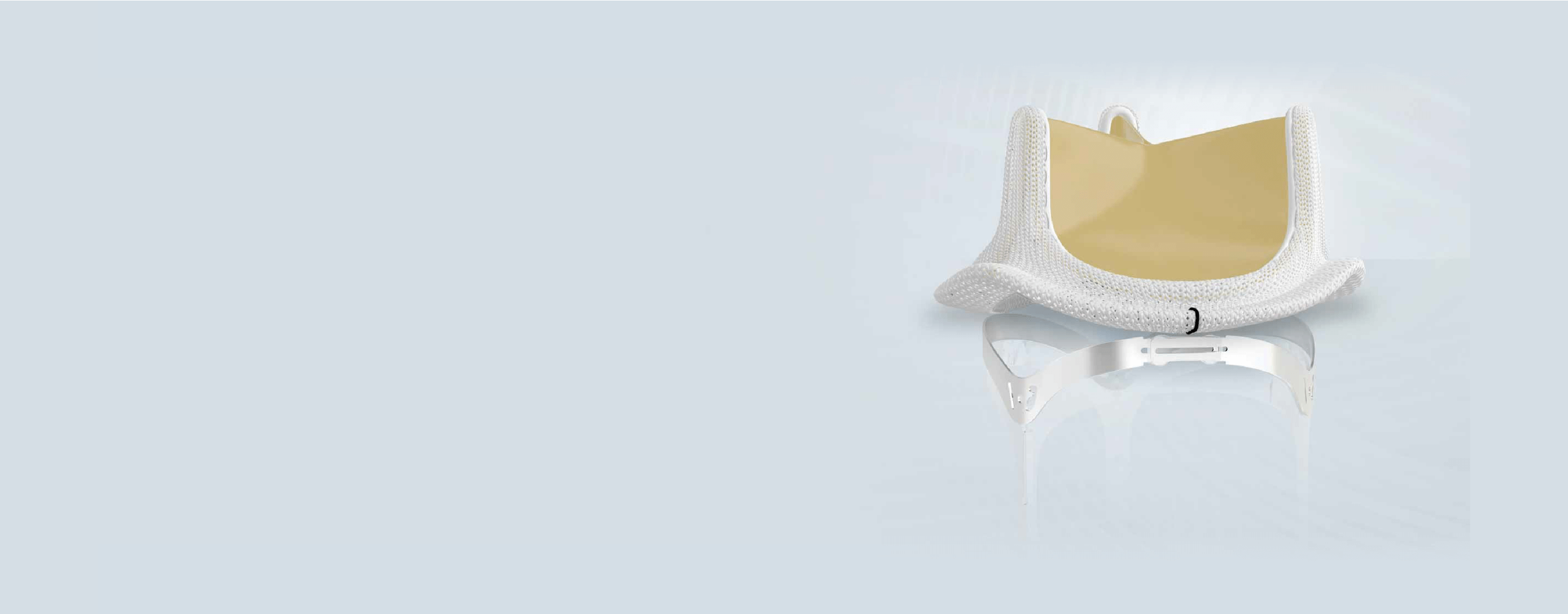 MITRIS RESILIA heart valve