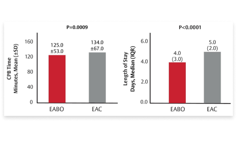 Endo-aortic balloon occlusion Image