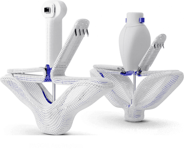 About the PASCAL implant | Edwards Lifesciences