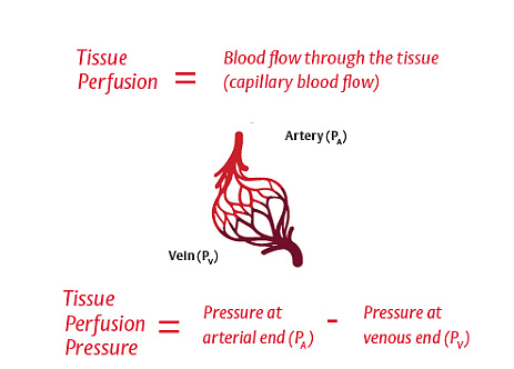 Adequate perfusion requires adequate arterial pressure and cardiac output (CO)