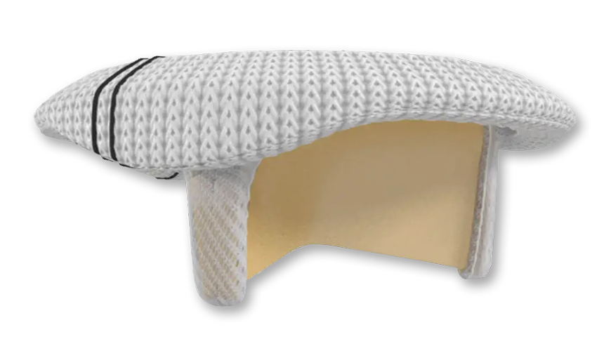 Mitral Pericardial Valve | Edwards Lifesciences
