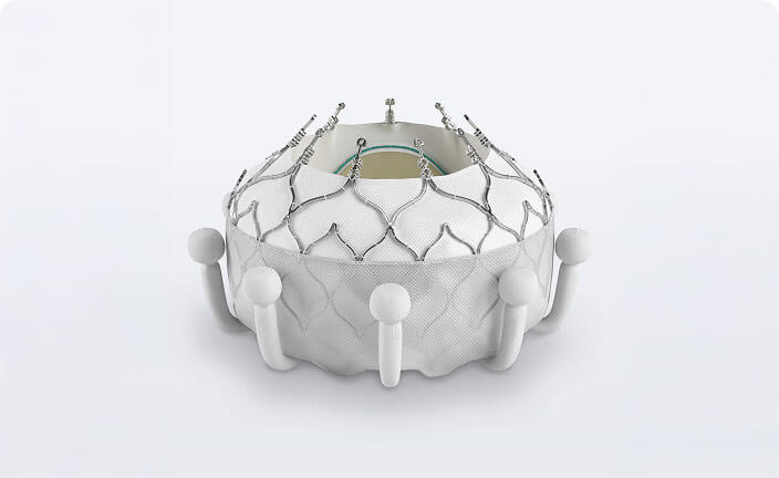 EVOQUE Tricuspid Valve Replacement System