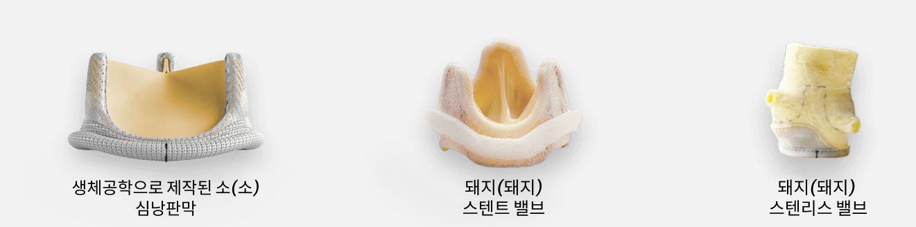 bioprosthetic valves