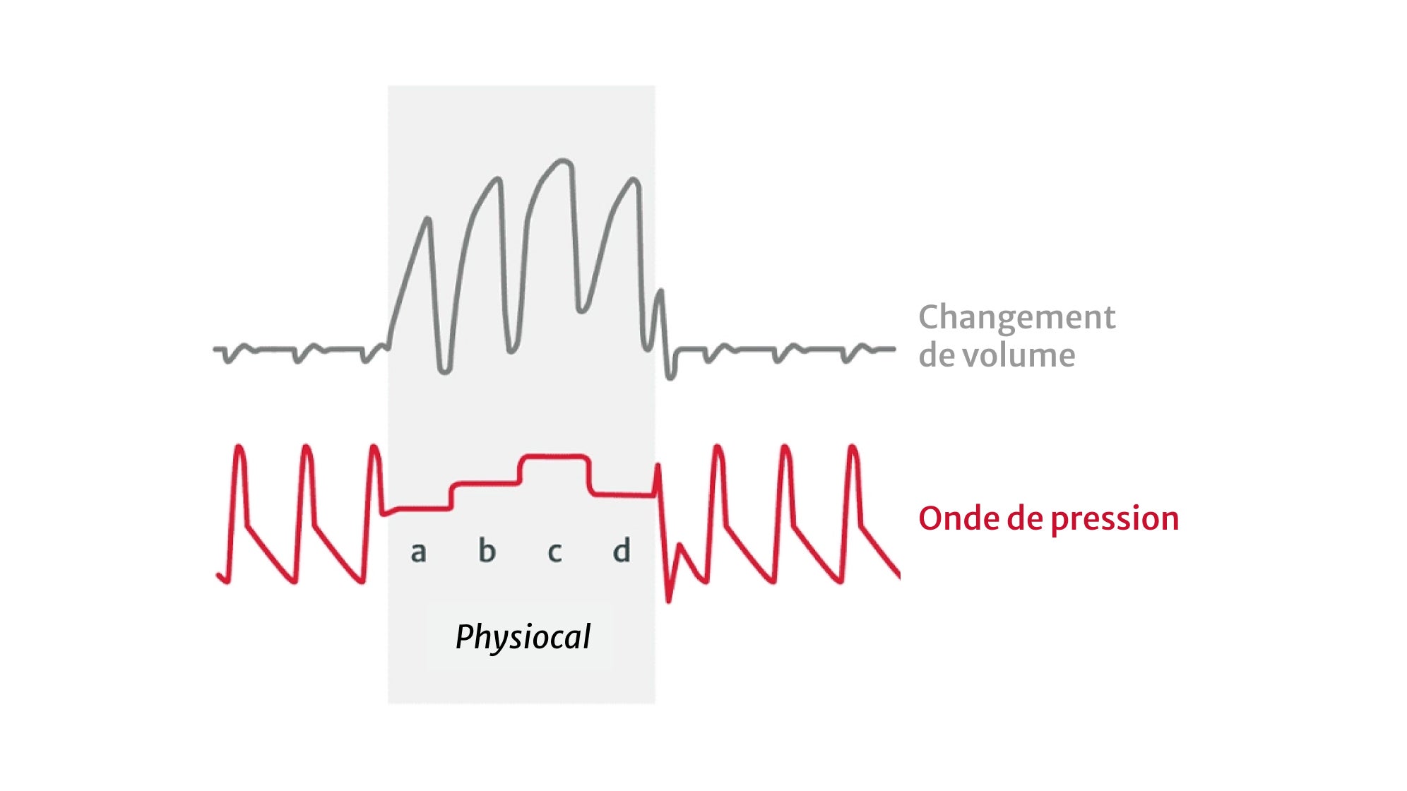 Physiological calibration
